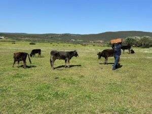 643941876_927777259640105_2291269242961173950_n (1)